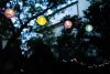 L1180122.jpg